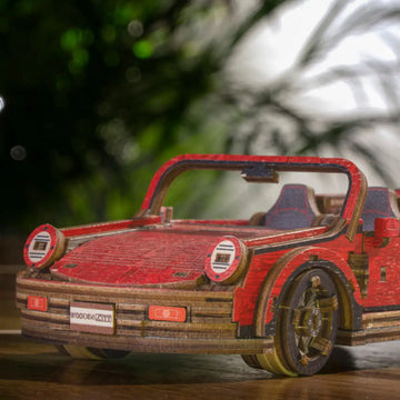 Rennwagen LE