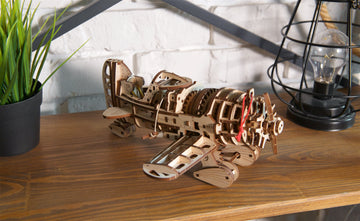 Flugzeug Verrückte Hornisse Vintage-Rennflugzeug
