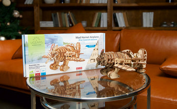 Flugzeug Verrückte Hornisse Vintage-Rennflugzeug