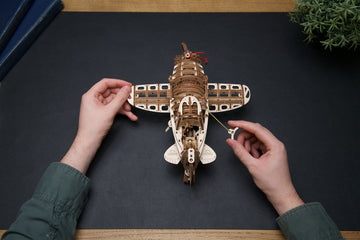 Flugzeug Verrückte Hornisse Vintage-Rennflugzeug