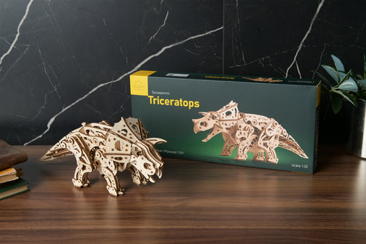 Triceratops Dinosaurier