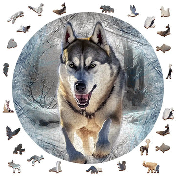 Rennender Wolf