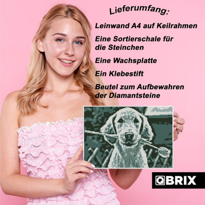 Qbrix – Qbrix Diamant - Fotomosaik Original | 3D Holzpuzzle - Lama Welt