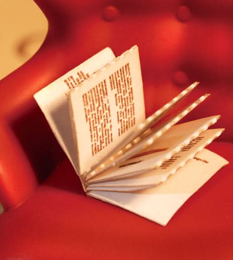 Robotime l Buchladen | Book Nook - Lama Welt