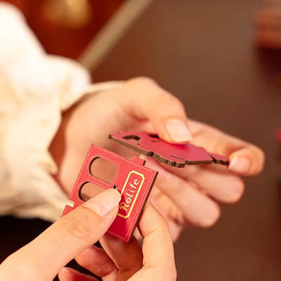 Robotime l Buchzug – Reise durch die Zeit l 3D Holzpuzzle - Lama Welt