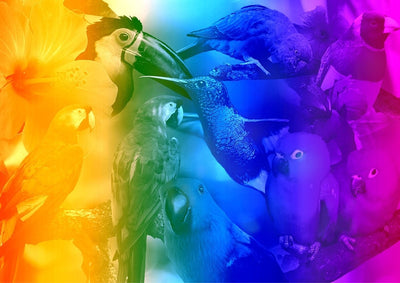 WOODEN.CITY – Vogelparadies | 3D Holzpuzzle - Lama Welt